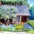 MEWhitehill